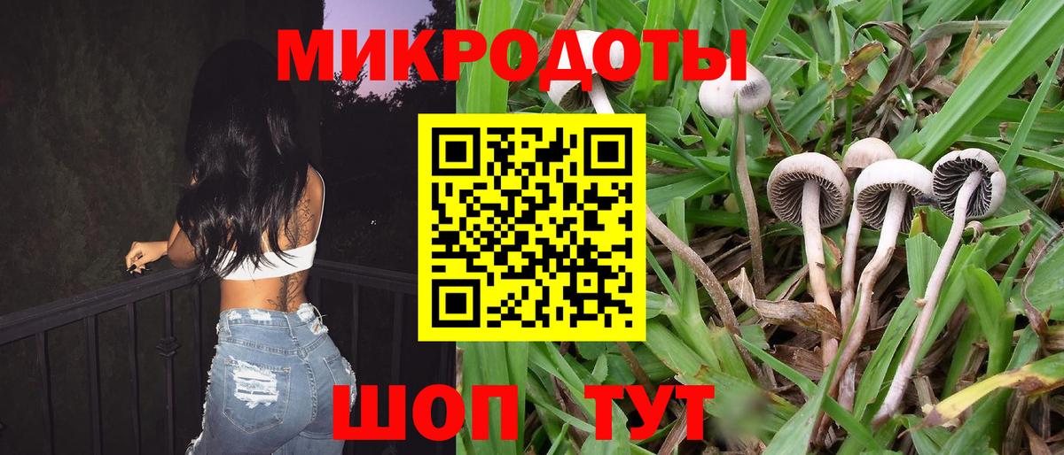Гай  Галлюциногенные грибы мицелий  Вход с VPN 